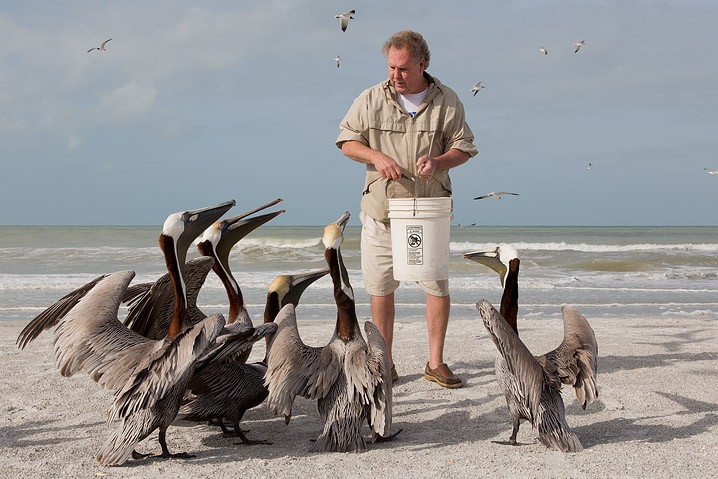 Reportage Seabird Sanctury